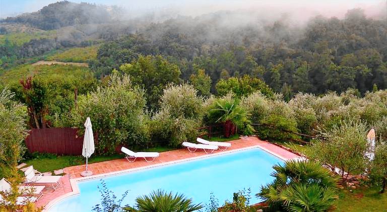 House with pool, terrace & yard | Pets are welcome — photo 2