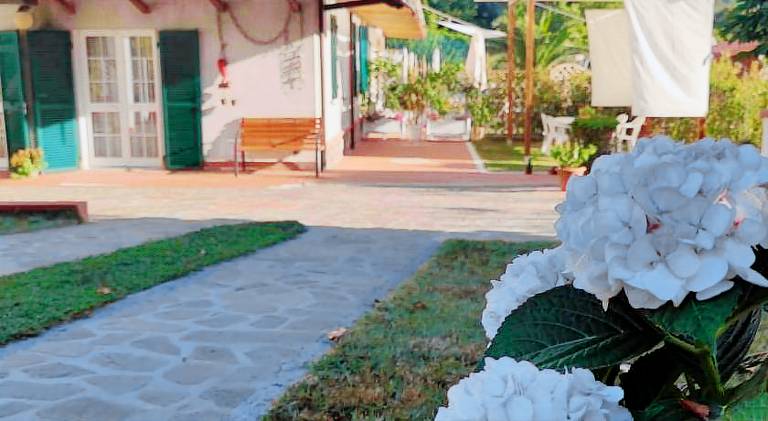 Pleasant holiday apartment | Pets are welcome in Fosdinovo