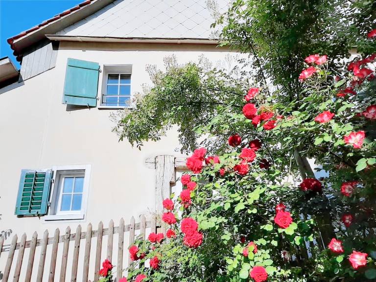 House with yard & grill | Nature view — photo 2