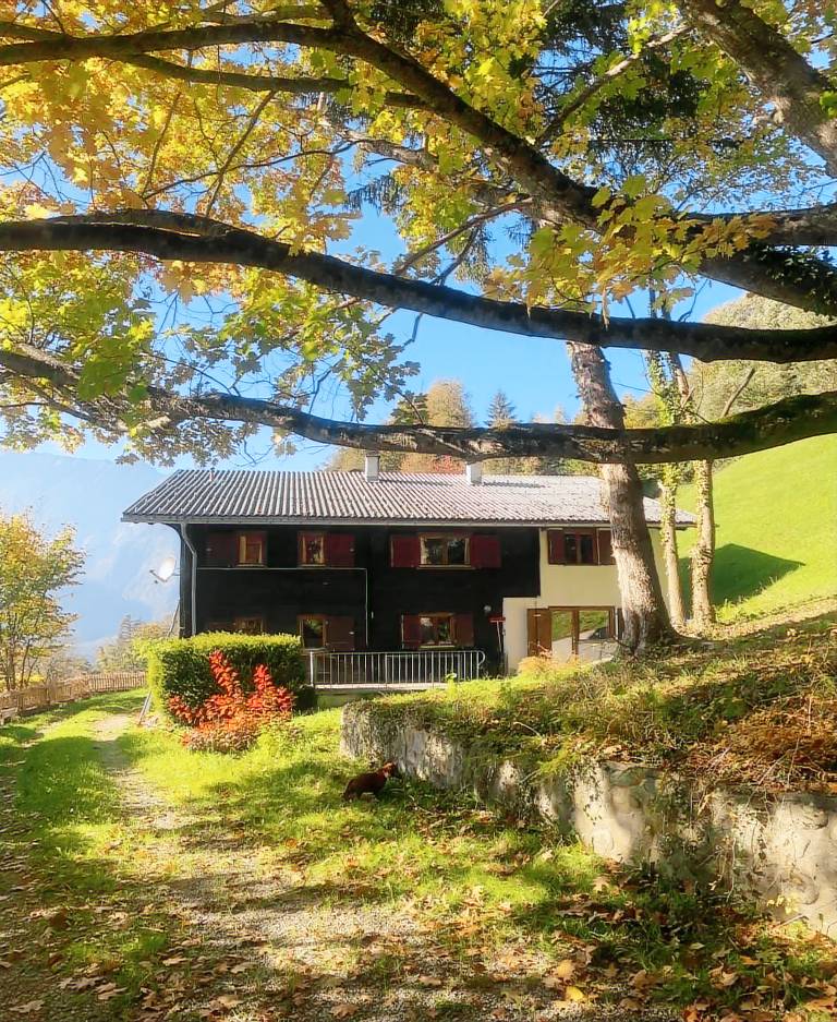 Haus Renard — photo 2
