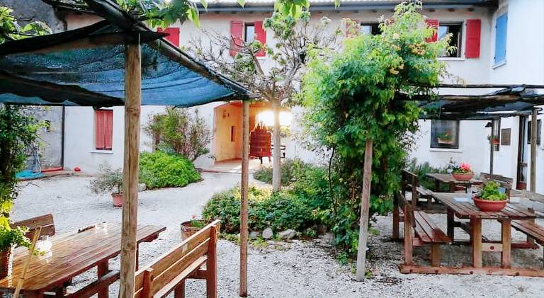 House with patio & yard — photo 5
