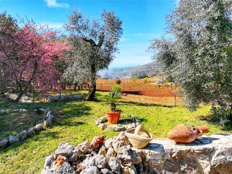 Family-oriented wonderful villa with terrace, BBQ & garden | Nature view | Pets are welcome — photo 3