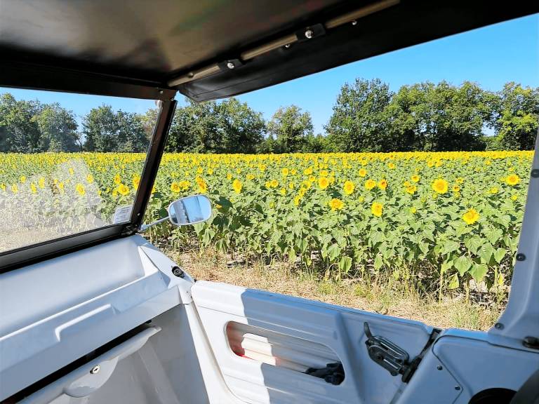 Maison de vacances Moissac