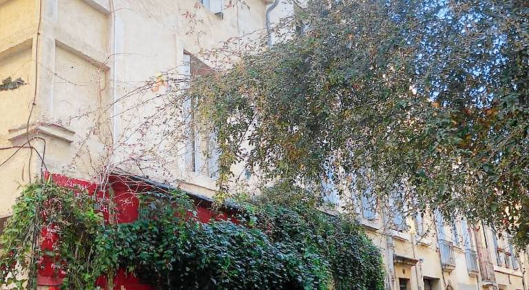 Holiday apartment | Dogs allowed — photo 5