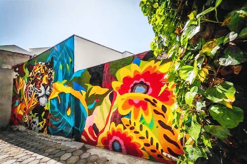 Stylish Apartment Upscale Chapultepec District in Tijuana
