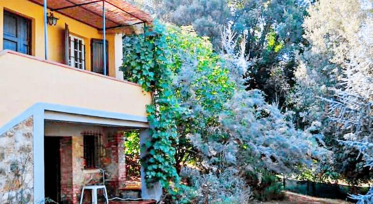 House with pool — photo 2