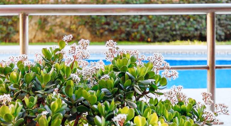 Holiday apartment with yard & pool — photo 5
