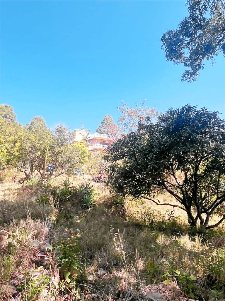 foto1