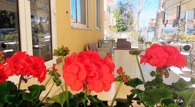 Hotel Villa Rinaldini in Rimini