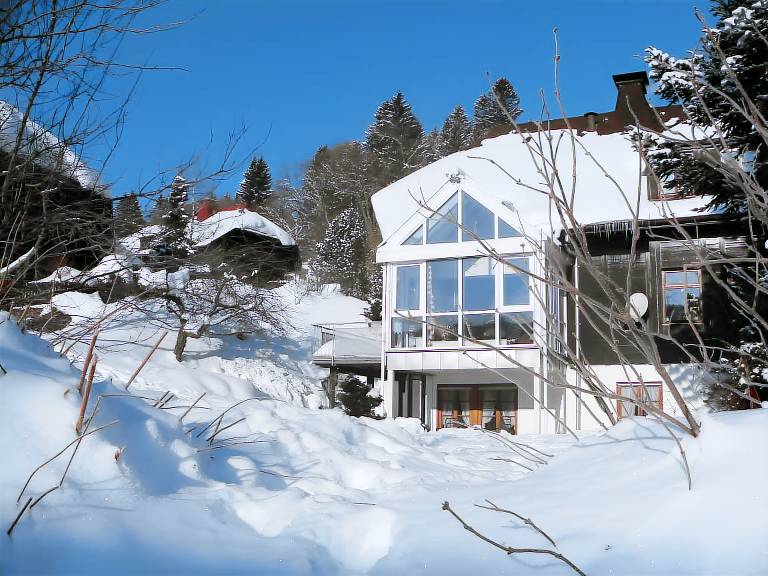 Apartment  Feldberg