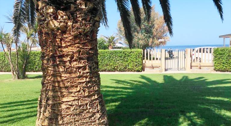 Apartment with terrace & garden | Close to the beach | Pets are welcome — photo 4