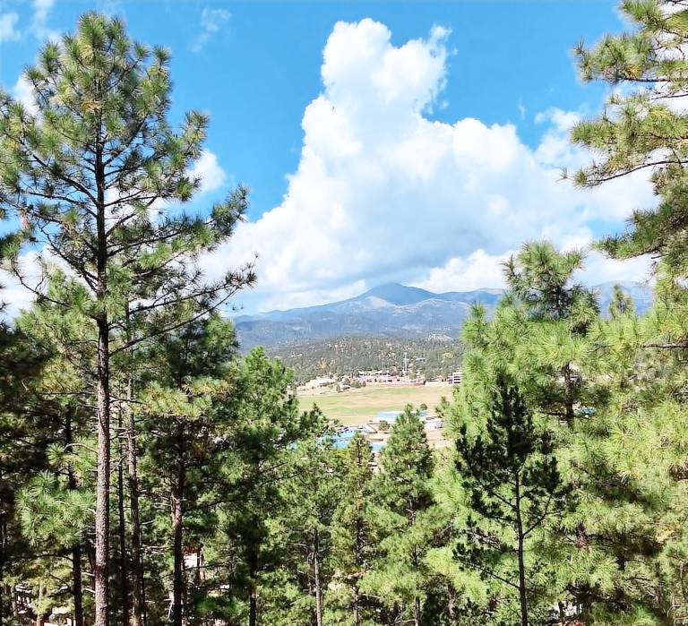 Cabin Ruidoso