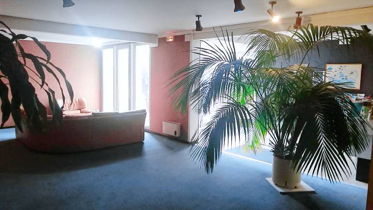 Jackotel — photo 4