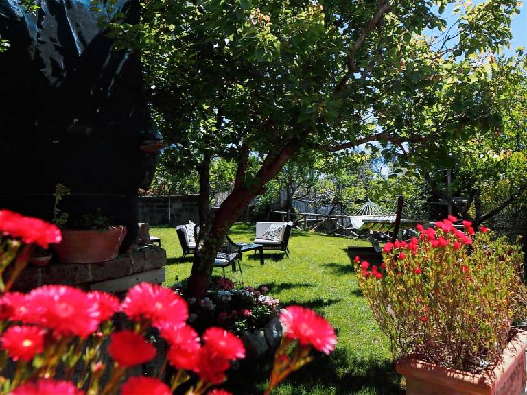 House with barbeque, private pool & patio — photo 5