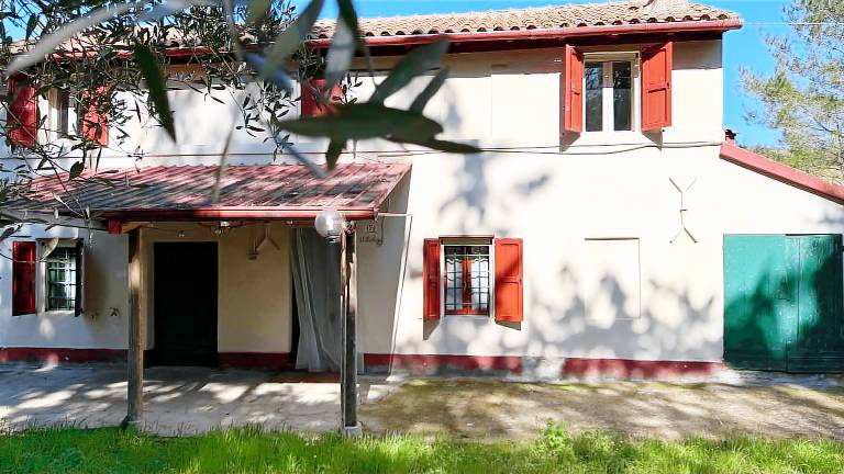 Villa with yard | Garden view — photo 2