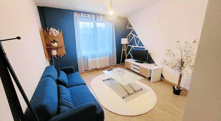 Lovely rental apartment | Pets allowed in Tours