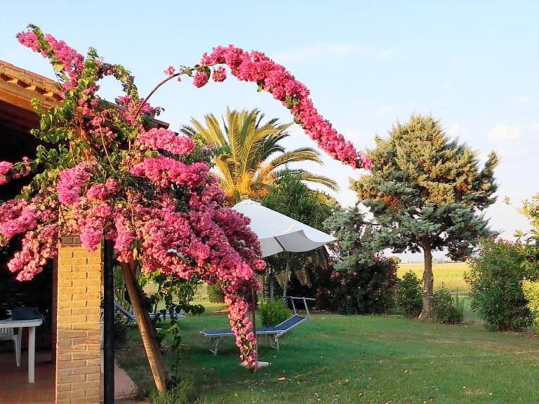 Children-friendly nice rental apartment with grill & yard | Nature view | Pets allowed — photo 4