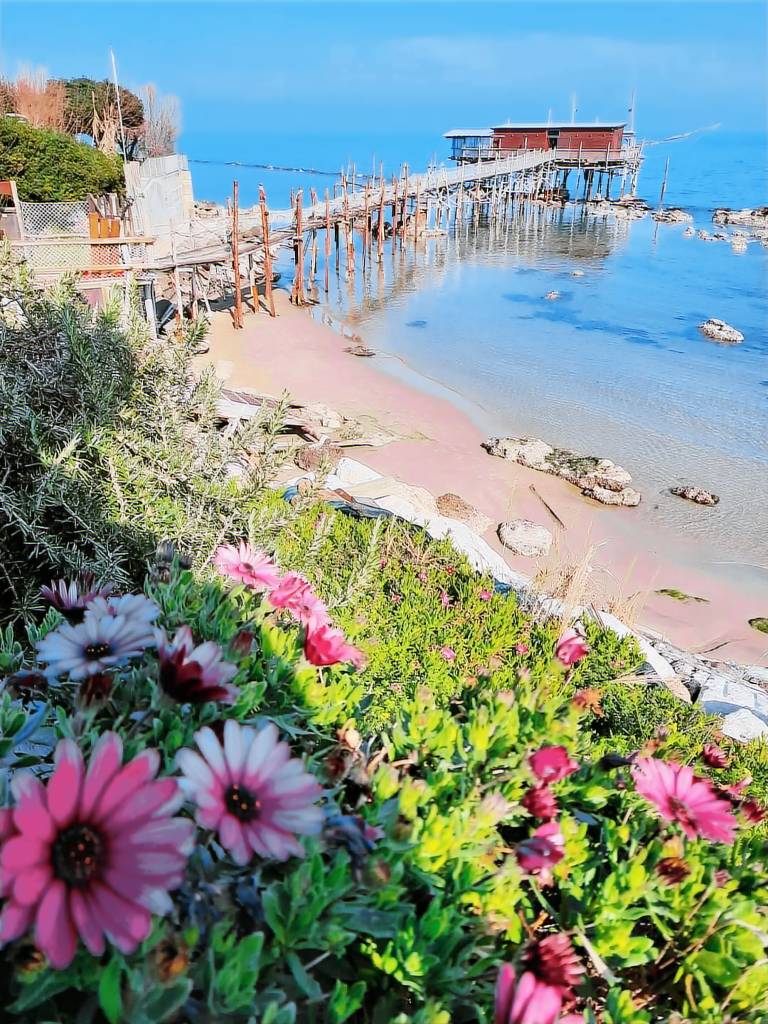 foto4