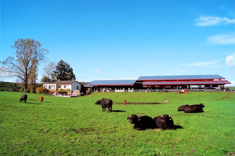 Ferienwohnung Stein am Rhein