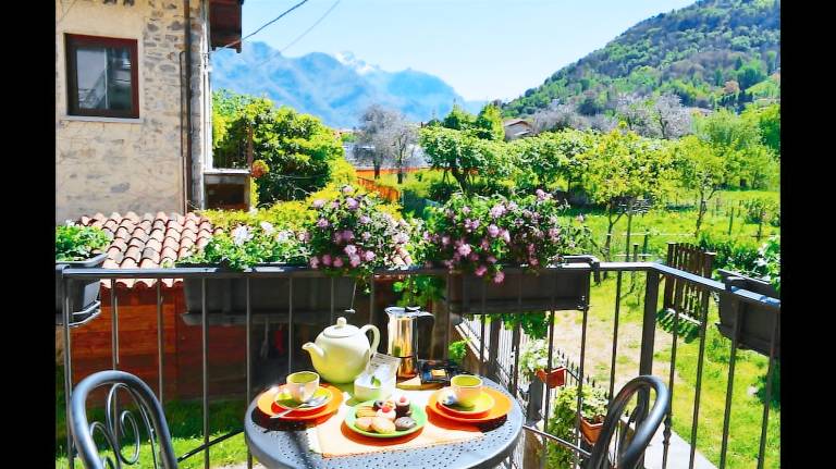 Rental apartment with barbeque, patio & garden | Garden view in Tremezzina