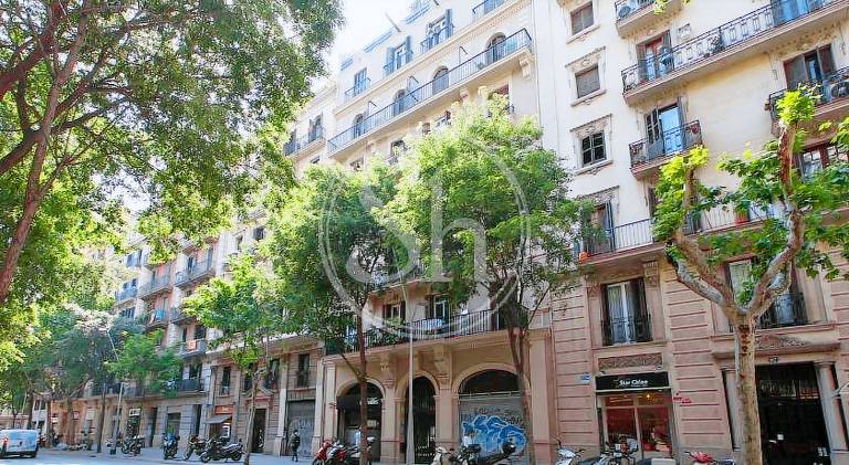 Beautiful holiday apartment with terrace | Pets are welcome — photo 4