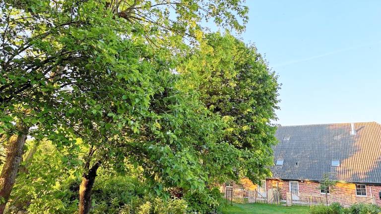 65 m² Ferienwohnung