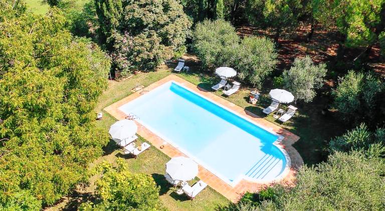 House with pool, patio & yard — photo 5