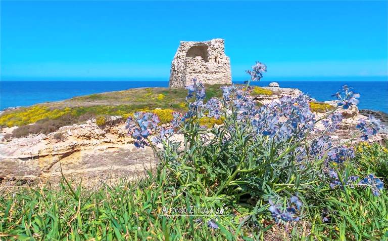 Villa Torre Dell'Orso