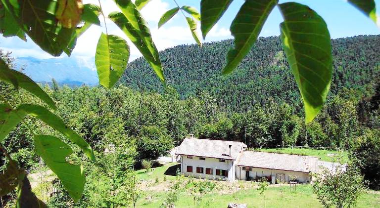 Bosco delle Rune un angolo di paradiso