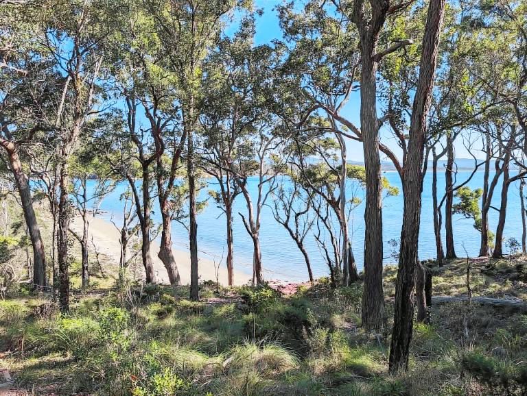 House Pambula Beach