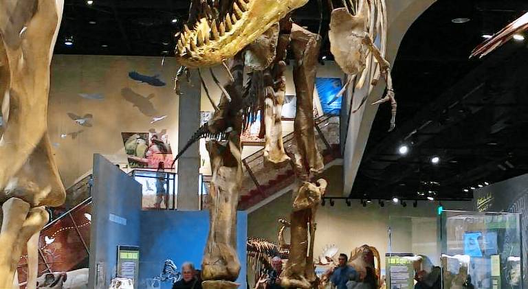 177 m&sup2; Ferienhaus