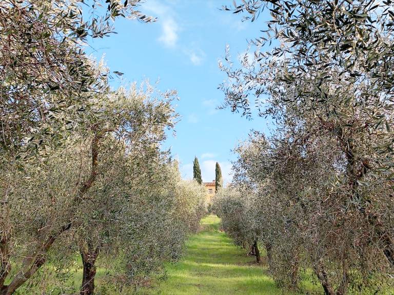 Agriturismo Villa Preselle a Scansano: Appartamento 3 — photo 4