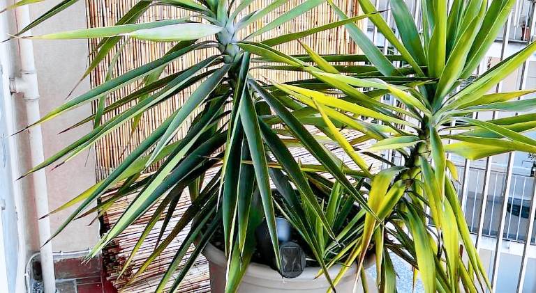 Pleasant apartment | Pet-friendly — photo 5
