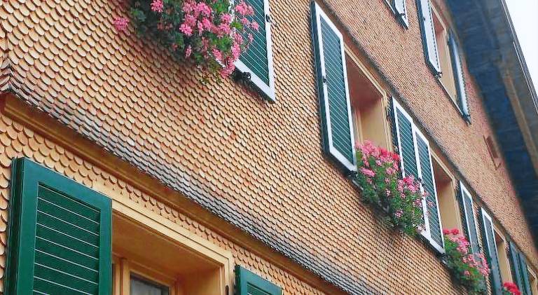 Apartment with garden in Bregenz