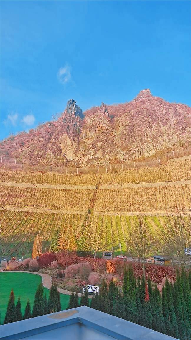 Ferienwohnung Bad Godesberg