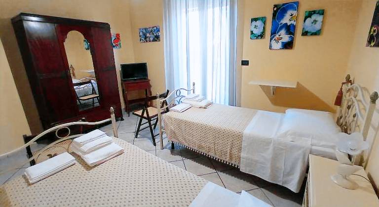 I Fiori di AminA Le Viole in Caserta