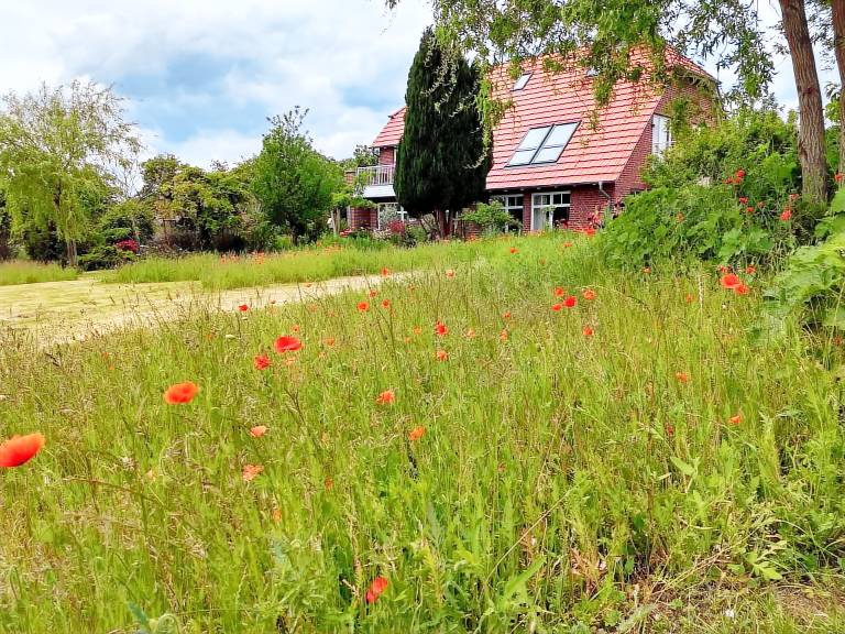 Schwalbennest — photo 2