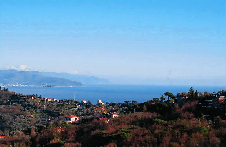Studio  Mortola