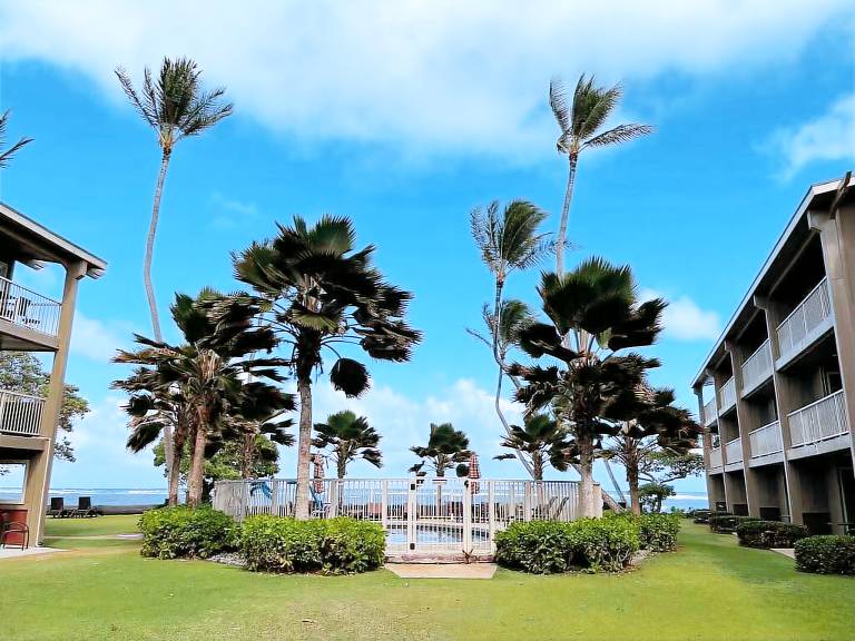 Condo  Kapaa