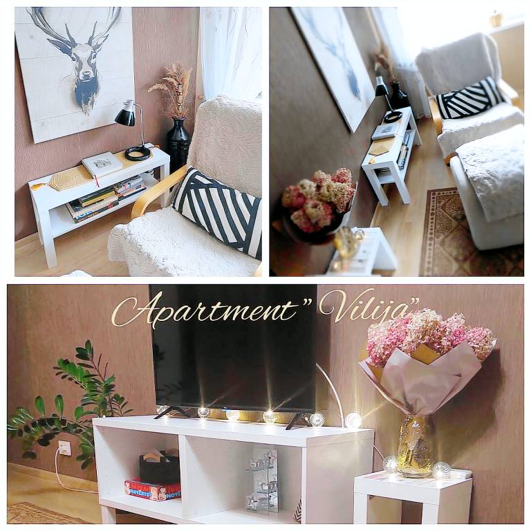 Cozy Apartmet Vilija — photo 2