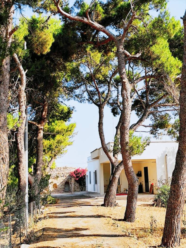 Child-friendly lovely vacation home with patio, grill & garden | Nature view | Pets are welcome — photo 4