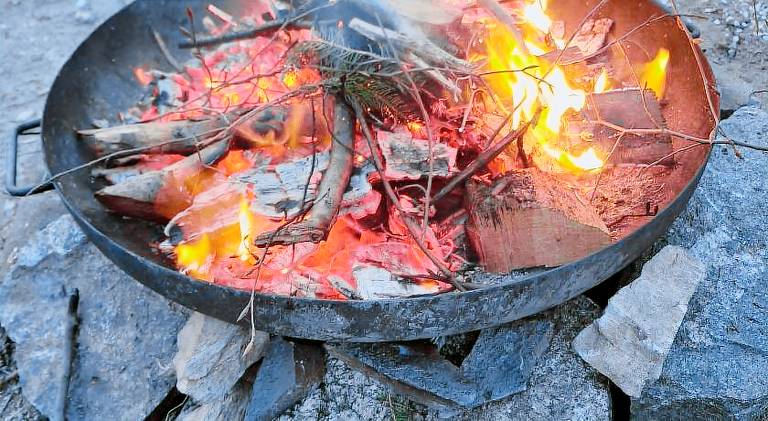 Wildnis-Camp Schwarzwald — photo 4