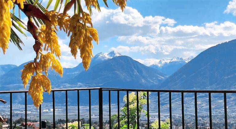 Pleasant serviced apartment with patio & garden | Pets are welcome in Schenna