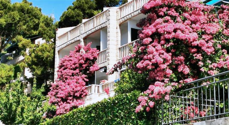 Rental apartment with garden & terrace | Close to the beach | Pets are welcome in Brela