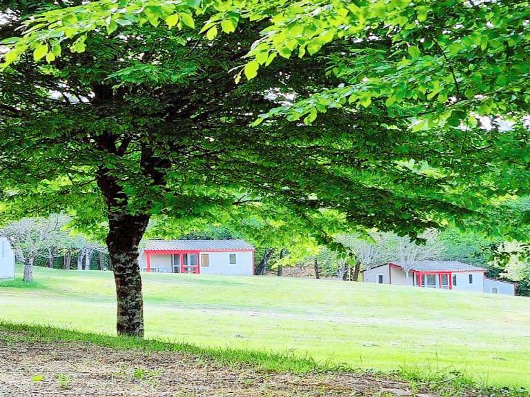 Lovely chalet with patio & pool | Pets are welcome — photo 5