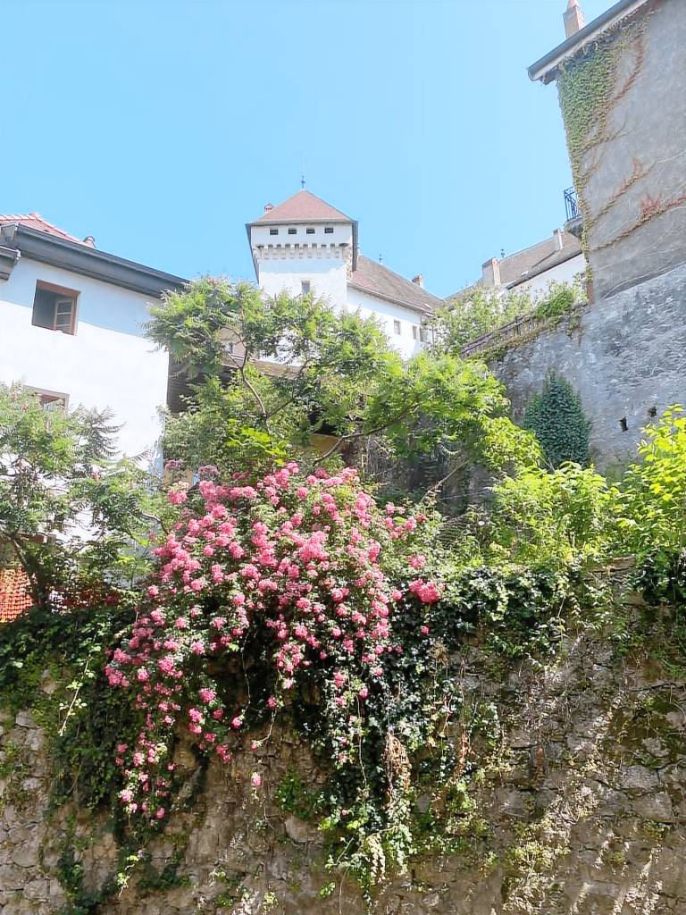Appartement Annecy-le-Vieux