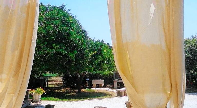 B&B Piccolo Vigneto — photo 5