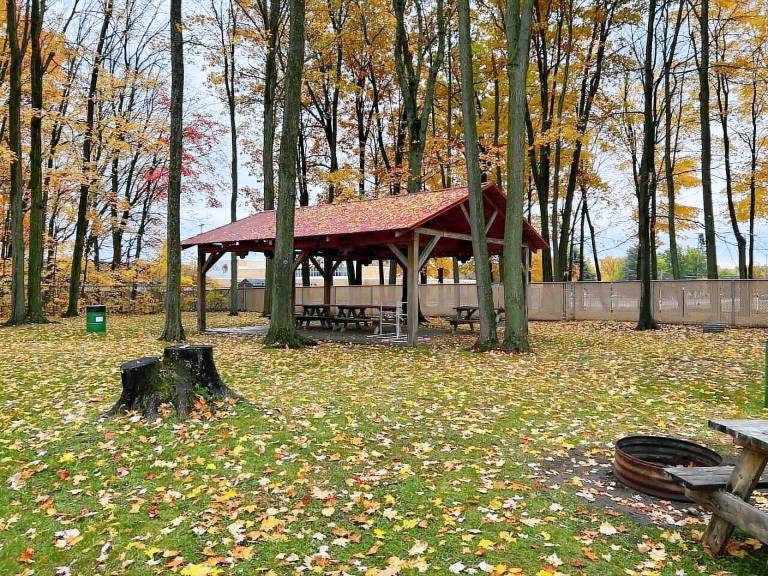 Cabin  Lake City