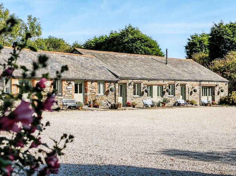 1 Bed in Tintagel 36928