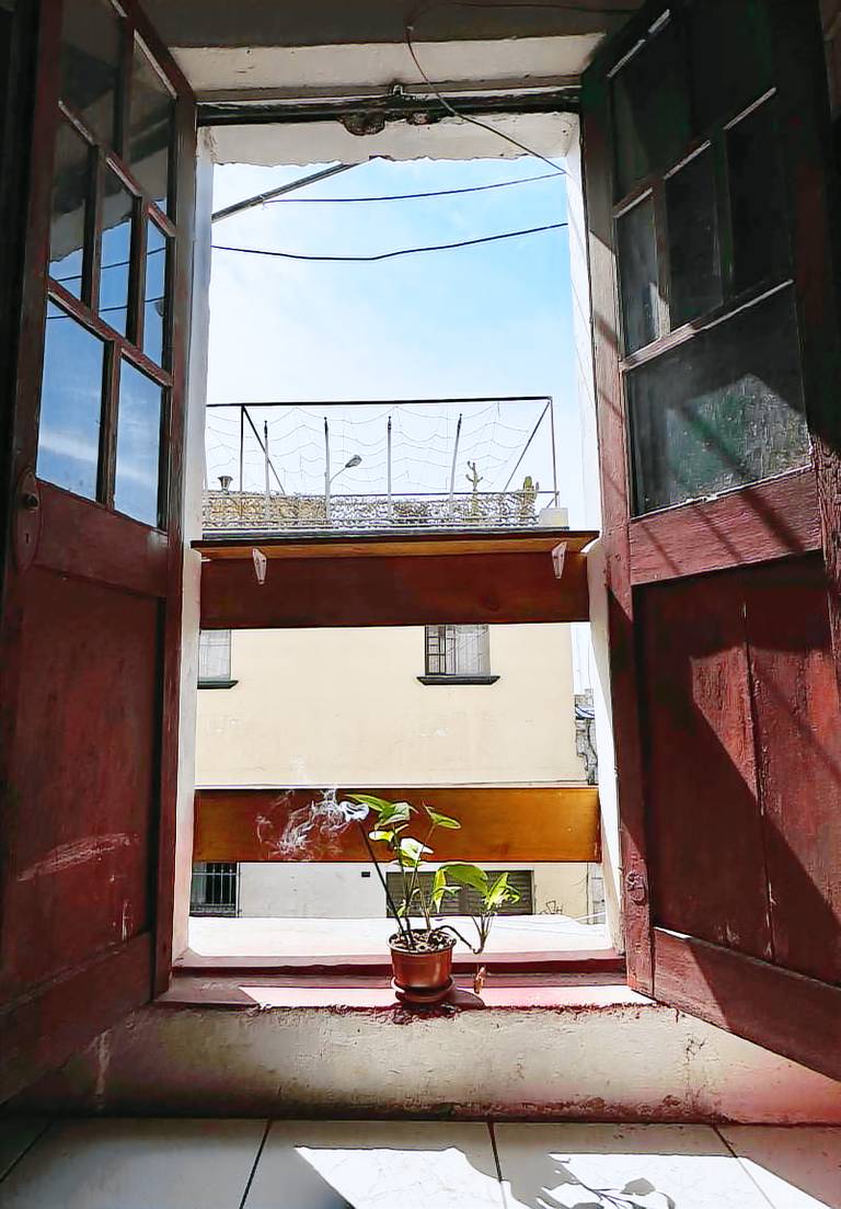 La Casita de Lulu — photo 4